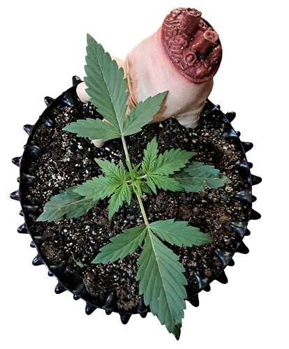 Screenshot_20231213_134529_PhotoRoom