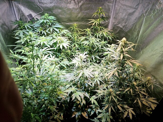 Growreport Bild 12