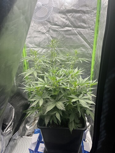 Growreport Bild 15
