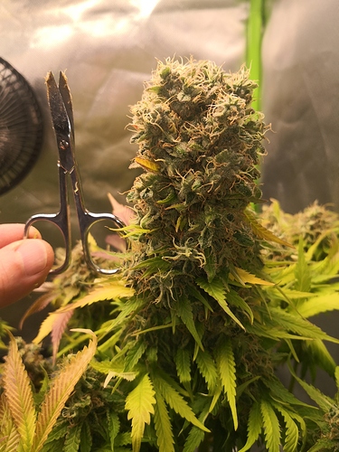 Growreport Bild 2