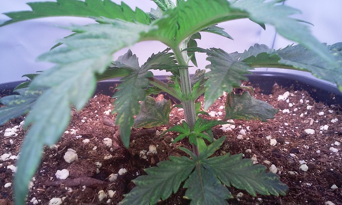 Growreport Bild 10