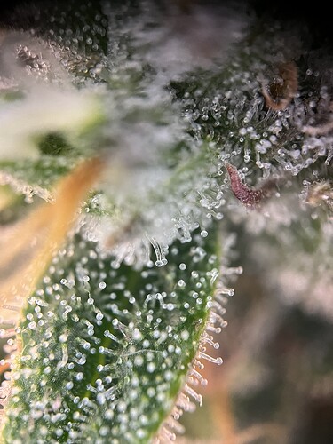 Growreport Bild 25