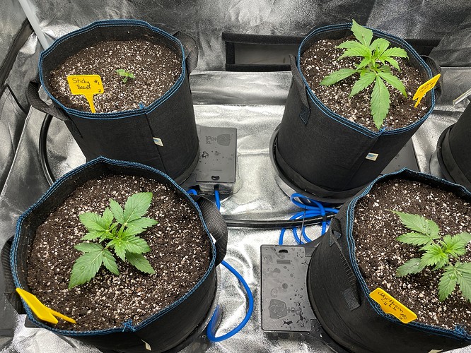 20211007_201411797_iOS