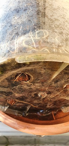 Growreport Bild 13
