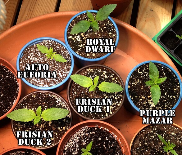 028_Gruppenbild3gross