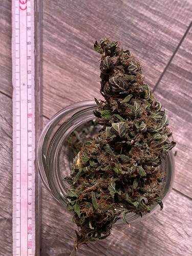 Growreport Bild 4