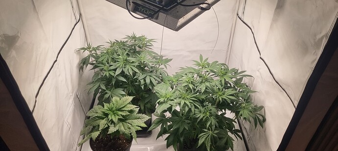 Growreport Bild 1