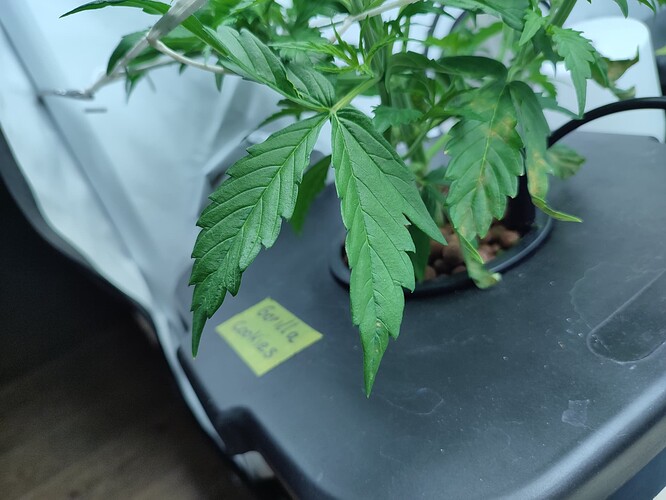 Growreport Bild 26