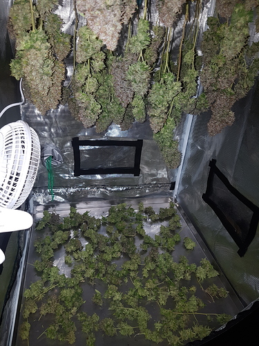 Growreport Bild 2