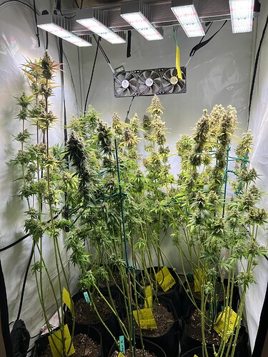 Growreport Bild 5