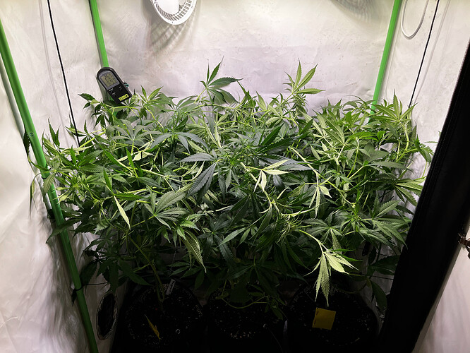 Growreport Bild 4