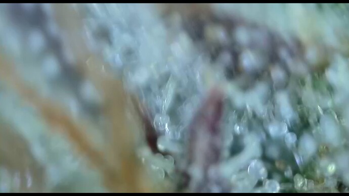 2022-06-15-000534225