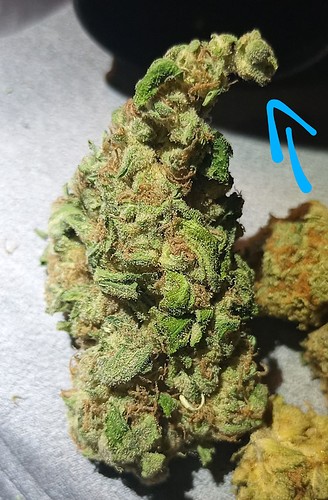 19840601_063608_HDR_(1)(1)(1)~2