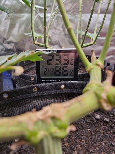 Growreport Bild 31
