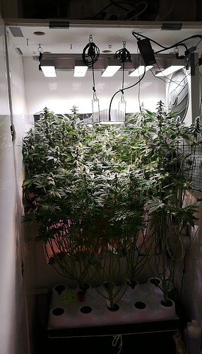 Growreport Bild 1