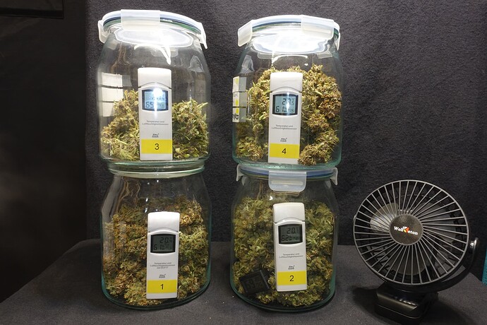 Growreport Bild 2