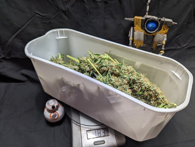Growreport Bild 33