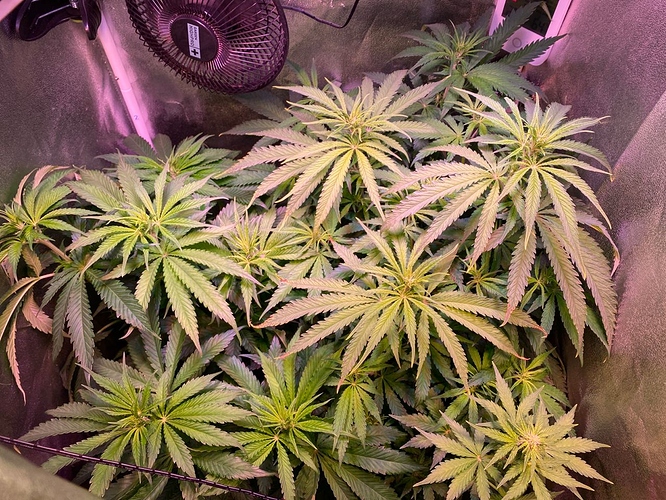 Growreport Bild 9