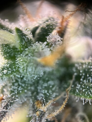 Growreport Bild 24