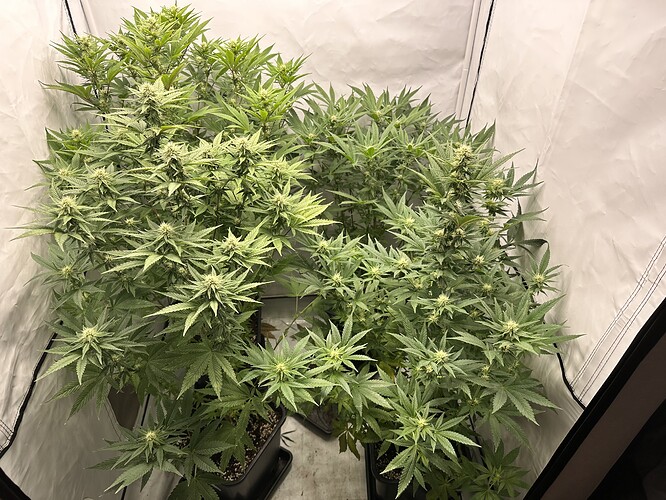 Growreport Bild 14