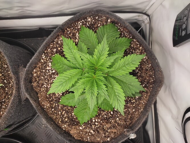 Growreport Bild 9