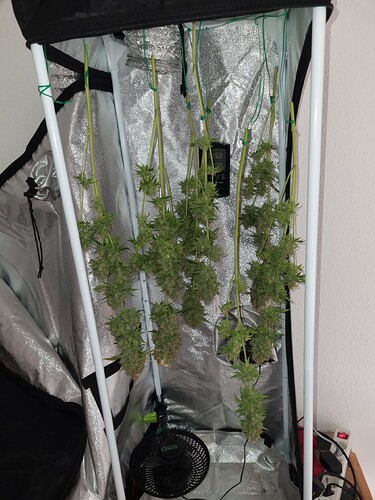 Growreport Bild 1