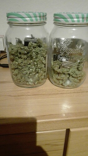 Growreport Bild 24