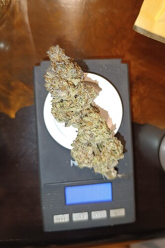 Growreport Bild 10