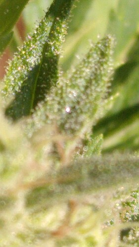 Growreport Bild 16