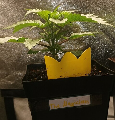 Growreport Bild 8