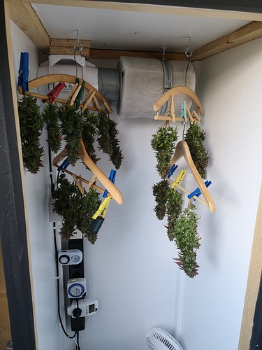 Growreport Bild 11