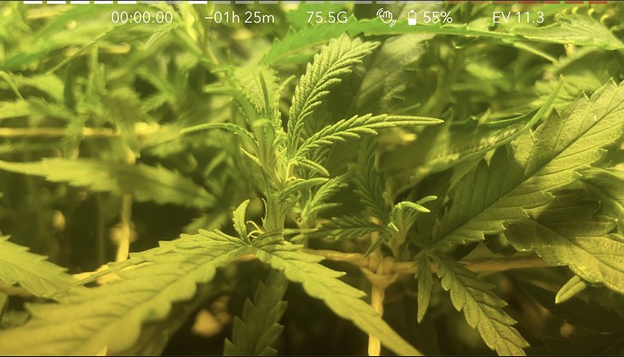 Growreport Bild 8
