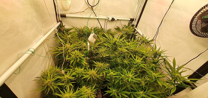 Growreport Bild 1