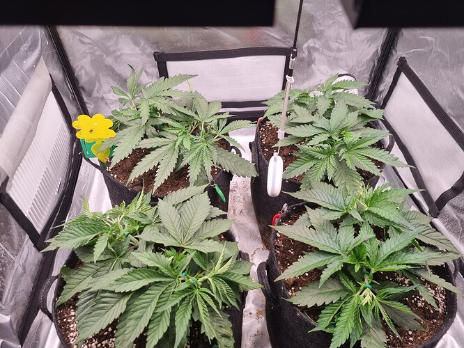 Growreport Bild 21