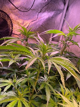 Growreport Bild 5