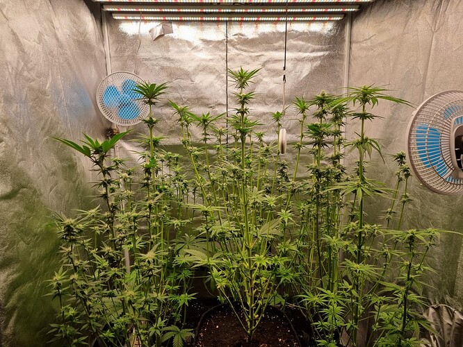 Growreport Bild 2