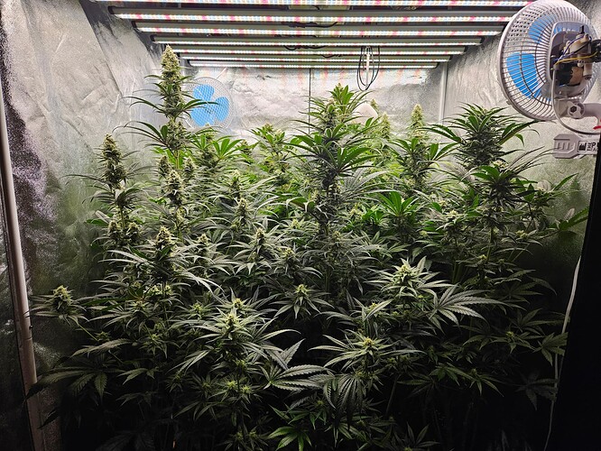 Growreport Bild 22