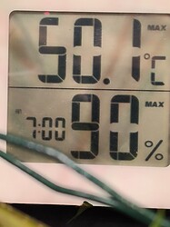Growreport Bild 7