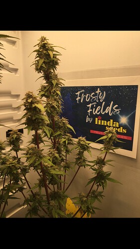 Growreport Bild 17