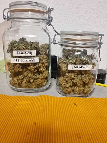 Growreport Bild 24