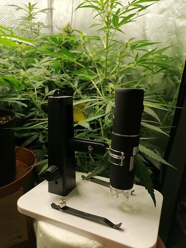Growreport Bild 22