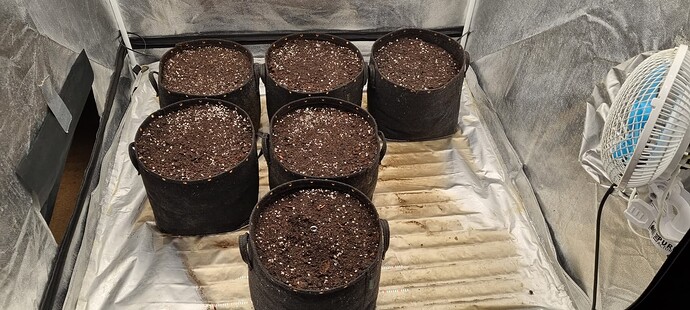 Growreport Bild 22