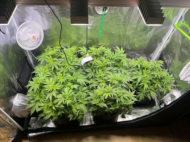 Growreport Bild 7