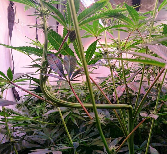 Growreport Bild 8