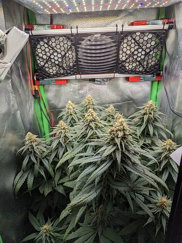 Growreport Bild 5