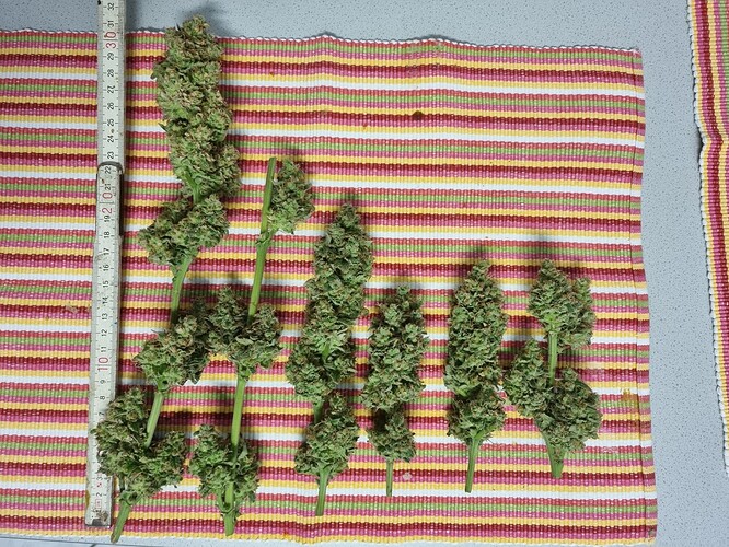 Growreport Bild 28