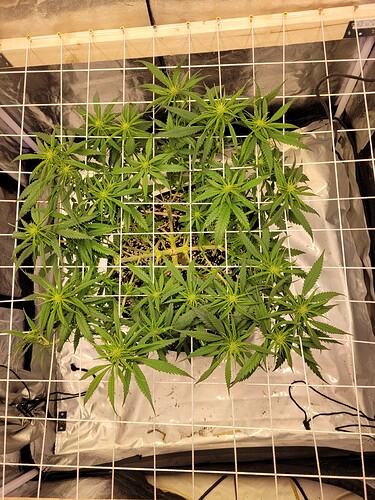 Growreport Bild 12