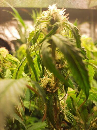 Growreport Bild 12