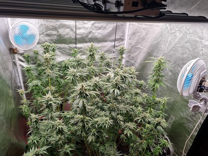 Growreport Bild 7