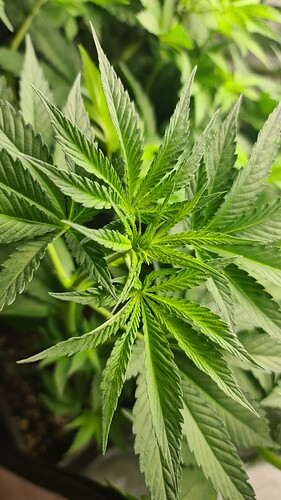 Growreport Bild 4